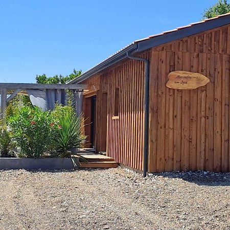 Les Bord'Oceanes Sauna & Spa Villa Marensine Et Villa Oyat Виел-Сен-Жирон Екстериор снимка