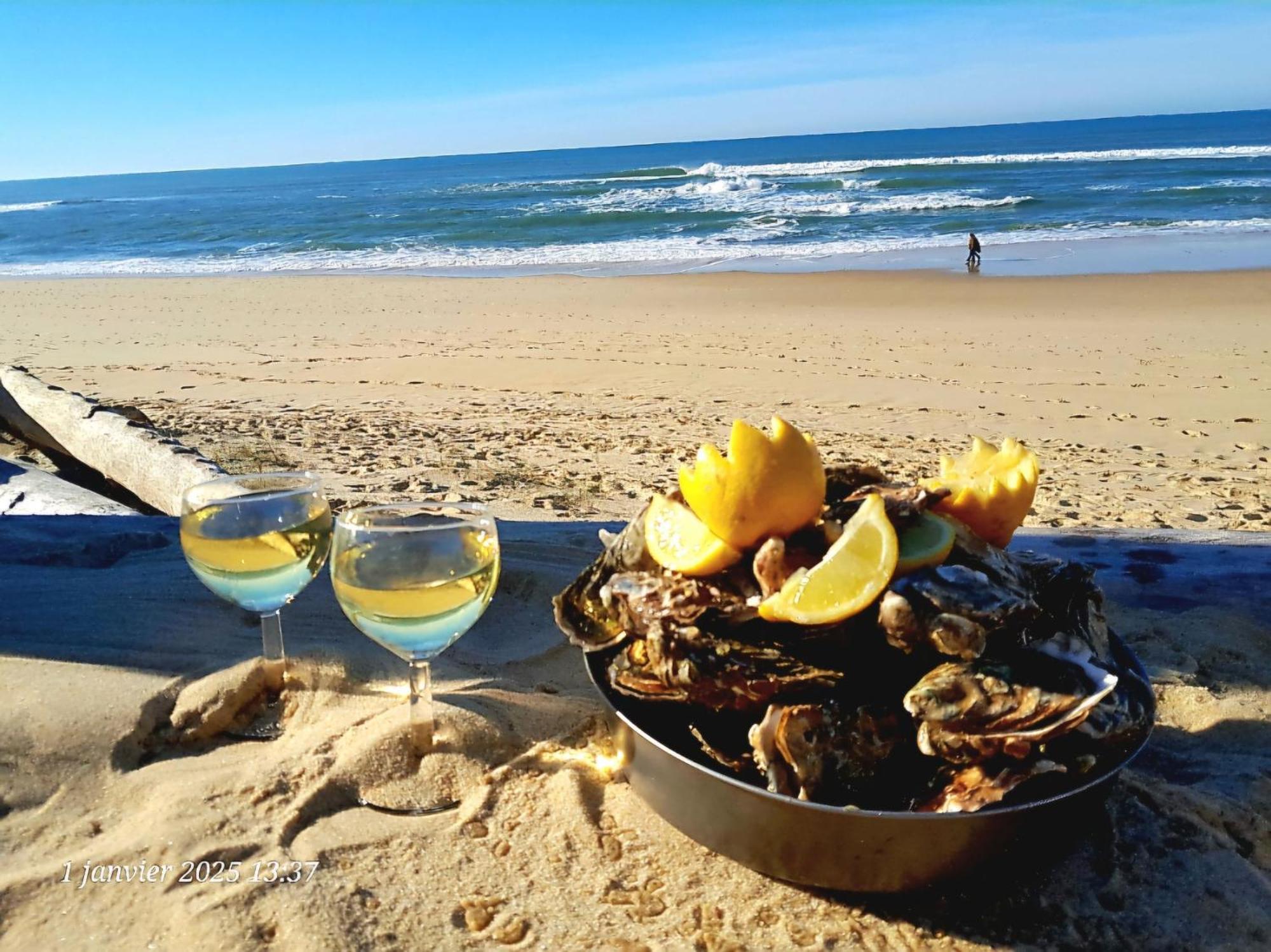 Les Bord'Oceanes Sauna & Spa Villa Marensine Et Villa Oyat Виел-Сен-Жирон Екстериор снимка